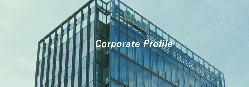 Corporate Profile