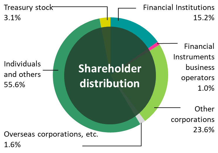 Shareholder distribution